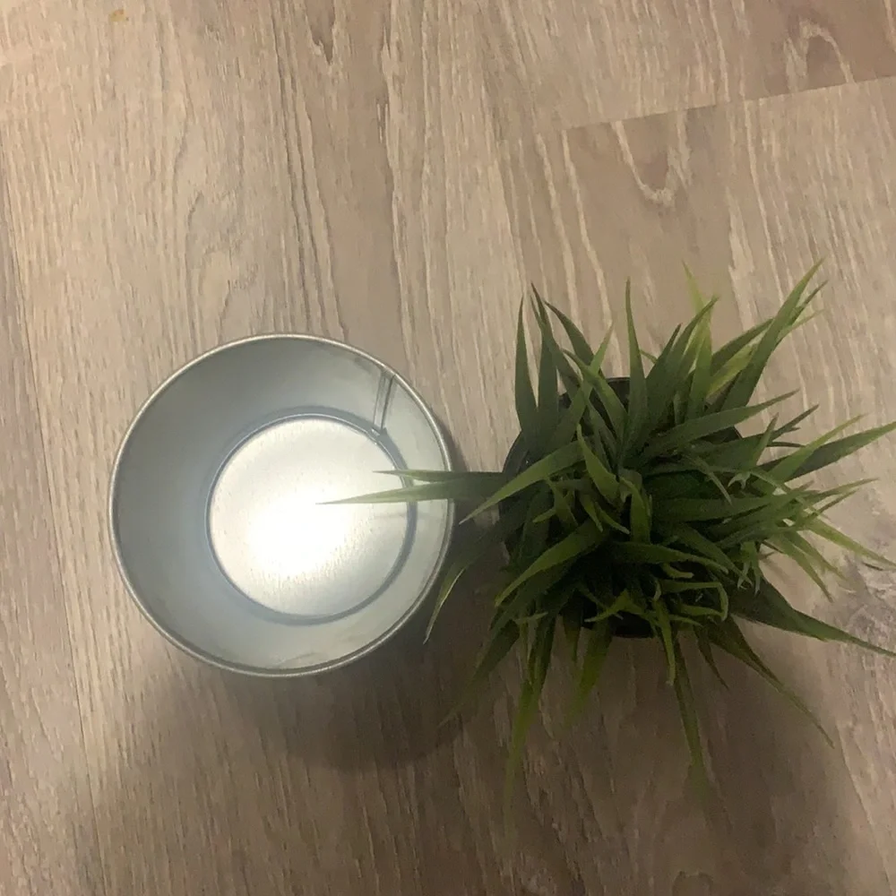 Trendy IKEA Potted Plant